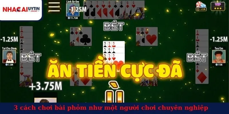 3 cách chơi bài phỏm như một người chơi chuyên nghiệp